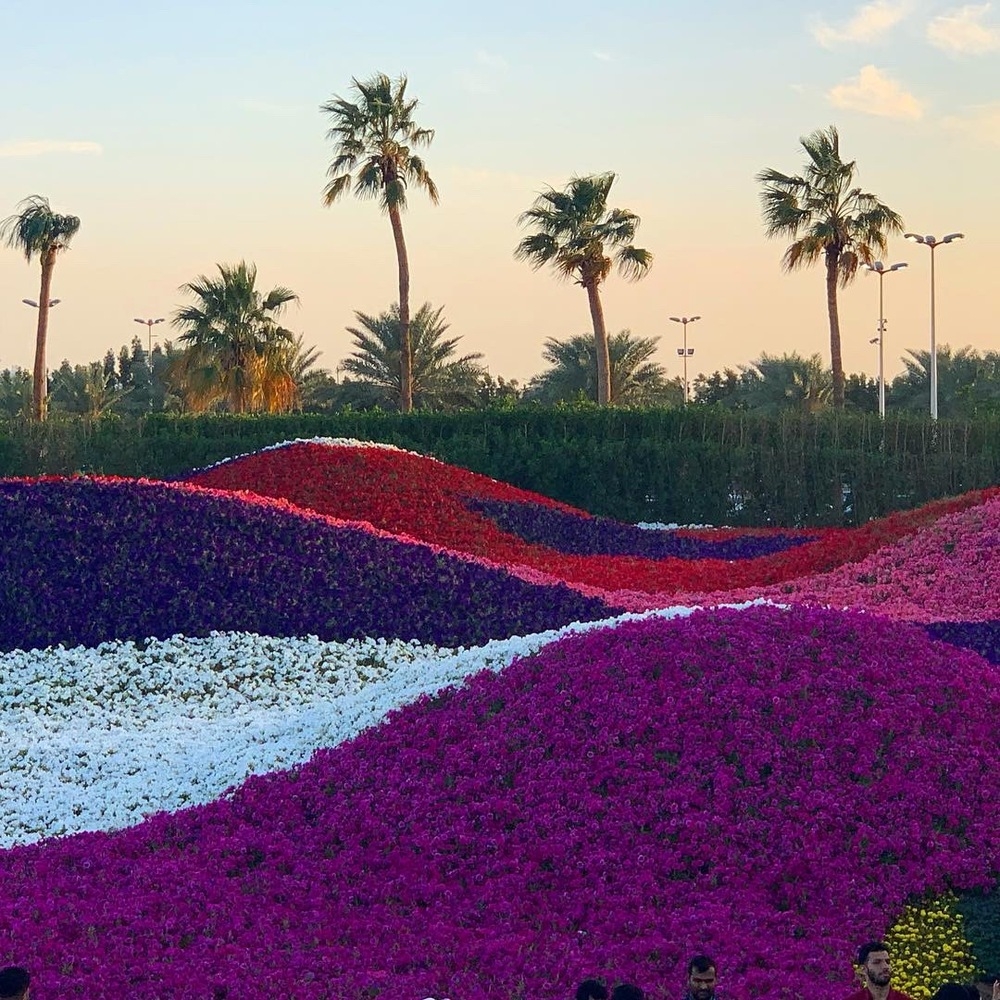 YANBU AL BAHR, THE FLOWER FESTIVAL